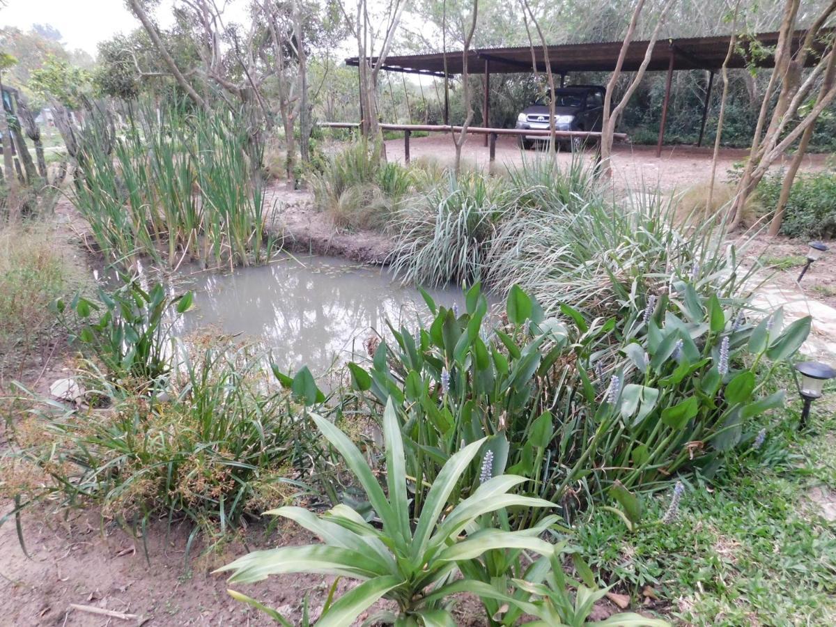 Arandu Ecolodge Colonia Carlos Pellegrini  Exterior photo
